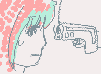 Guys the decision is yours shoot or nah