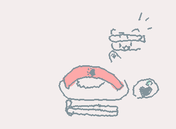 おすしいかが？