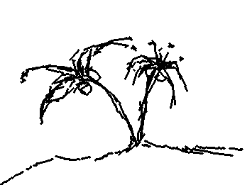 ocean