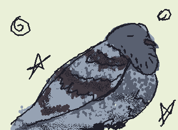 Pigion