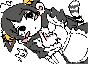🐈🛎️
