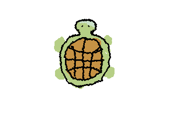 turtles!