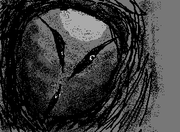 litany doodle+psa: please dont buy from this site. extra palettes can be color picked or found on LOSPEC, extra brushes aren't necessary, (cont. in comments)