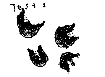 Gore.test