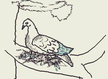 Mourning Dove.