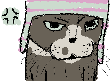 @THE flamengicule’s pfp!