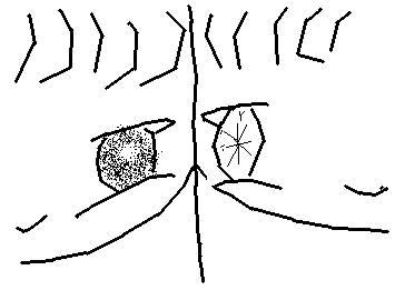 みえているのはほんとうのかお?