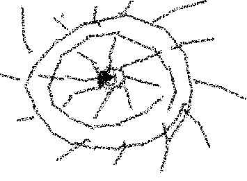 バックベアード