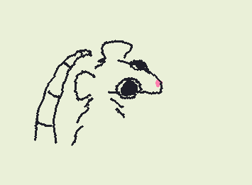 YALL im doing opposum OCs commment a clothing peice fur type and colors plz im bored and wanna make new sillys feel free to give a name as well