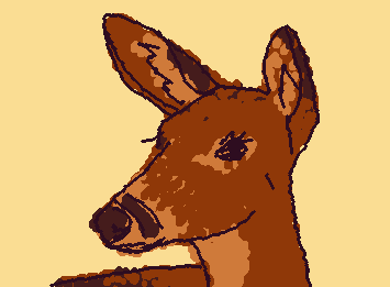 Doe