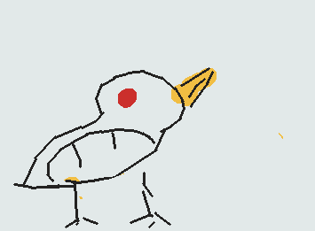 for bird the cool drawer