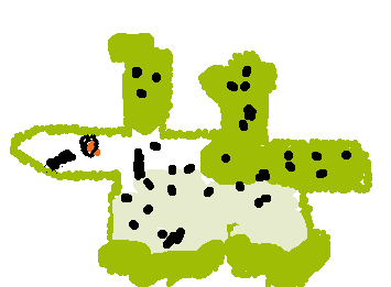 it is my brother's pet geko