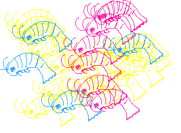shrimp brush
