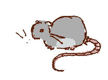 @Anna here it is!!!! Ya!!