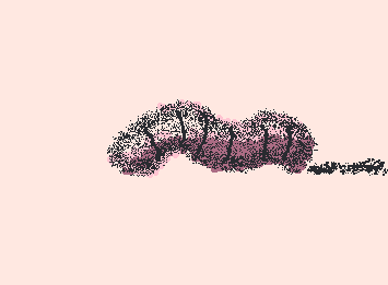 芋虫