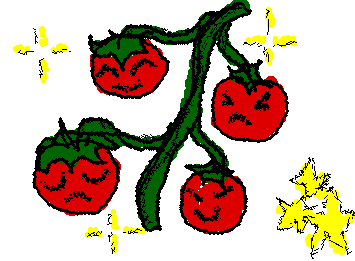 Tomatoes with emotions Yehawww!!
🍅-_—