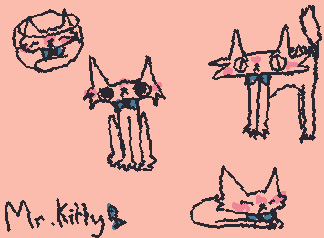 Mr kitty