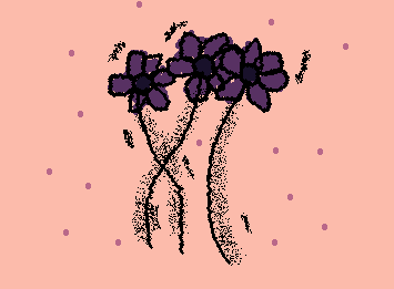 Lavender Flowers🪻🪻🪻
