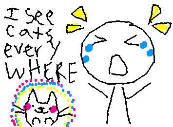 so many felines......................