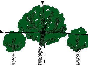 @Rigsさんからのリクエスト、窓から見える木を書いてみました。