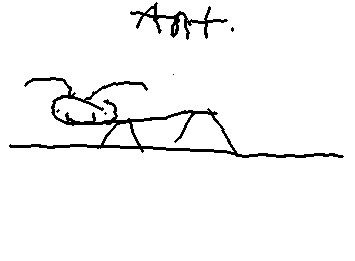 ant