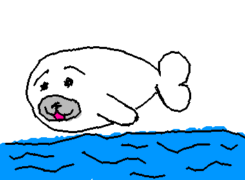 baby seal :3