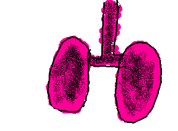 たばこすってるひとのはい