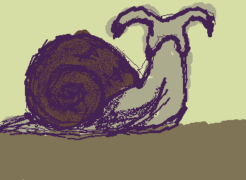 otro caracol
