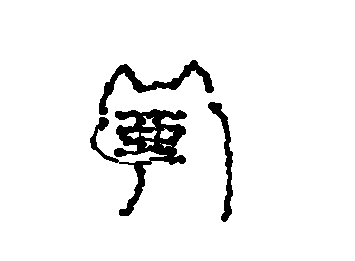 なんか不機嫌そうになっちゃったアグ猫