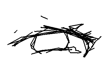 お目々って最高❣