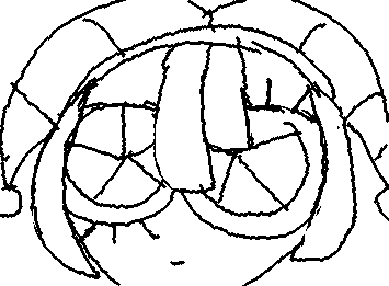 “Aggressively sniffs u” -pomni but in a nutshell