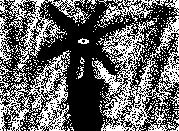 I think they want to say hello