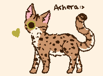 this is day 8 of doodling every cat breed!! it took so long to make the spots🥀🥀 but it was worth it yayyayaa also thx to @the peanut dragon for the request!!