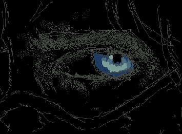 "Who the hell is Bucky?"