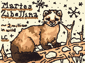 Sable for @the peanut dragon <3 !!  I added the endangered status. Luckily the sable is least concern!
Thanks y'all for the recs, and please keep them coming!