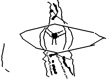 ひだりめ