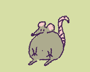 Rat Standing