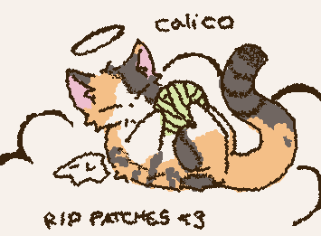 day 4 of doodling every cat breed!! this is a super special one, cuz patches was @susies cat so everyone say together, rip patches we luv u!<3