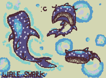 Whale shark