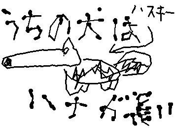 めっちゃ適当