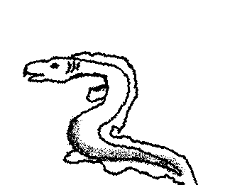 Frilled Shark 🦈 Requested by MIKE