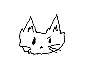 little angry cat, why is he angry