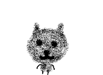 #miau