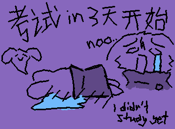 考3个星期勒💩💩