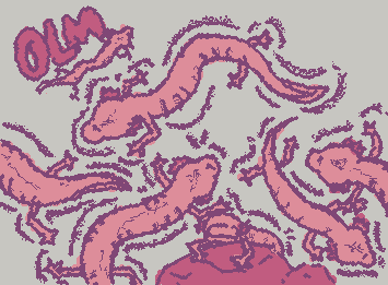 Olm, also uncommonly know as "human fish". they are so not that interesting it becomes interesting