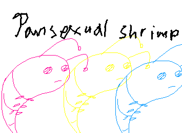 Pansexual Shrimp😼! Happy pride month!!!
