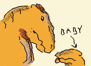 dinossaur baby