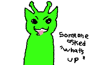 freak cat