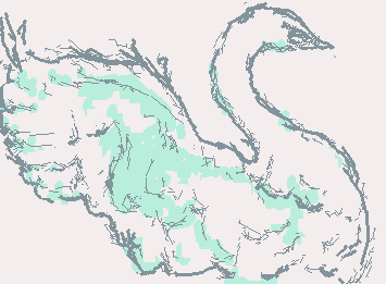 saw this swan and wanted to draw it