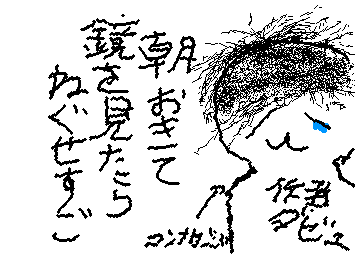 みんな、朝の寝癖ってぢんな感じ?
(自分はアフロって言って良いくらいかも)